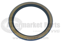 Oil Seal